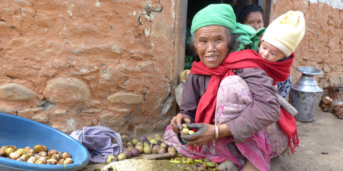 Nepalese walnuts diversifying for Jumla farmers Helvetas